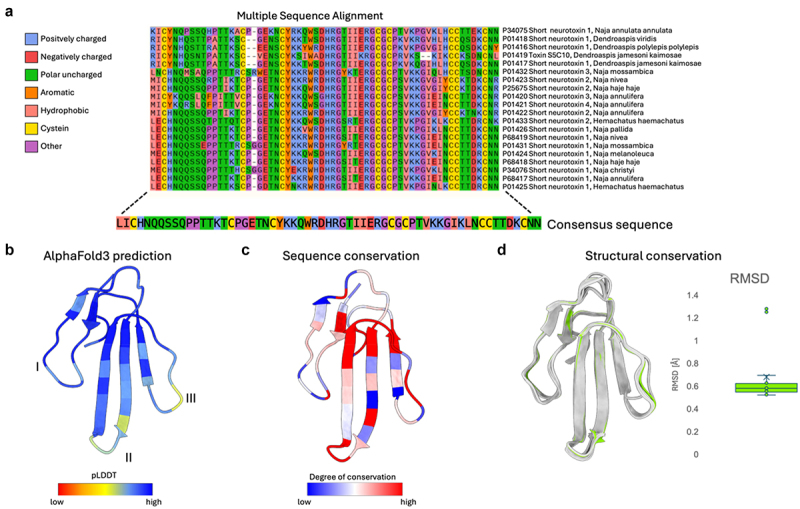 Discovery of broadly neutralizing V<sub>H</sub>Hs against short-chain α-neurotoxins using a consensus toxin as an antigen.