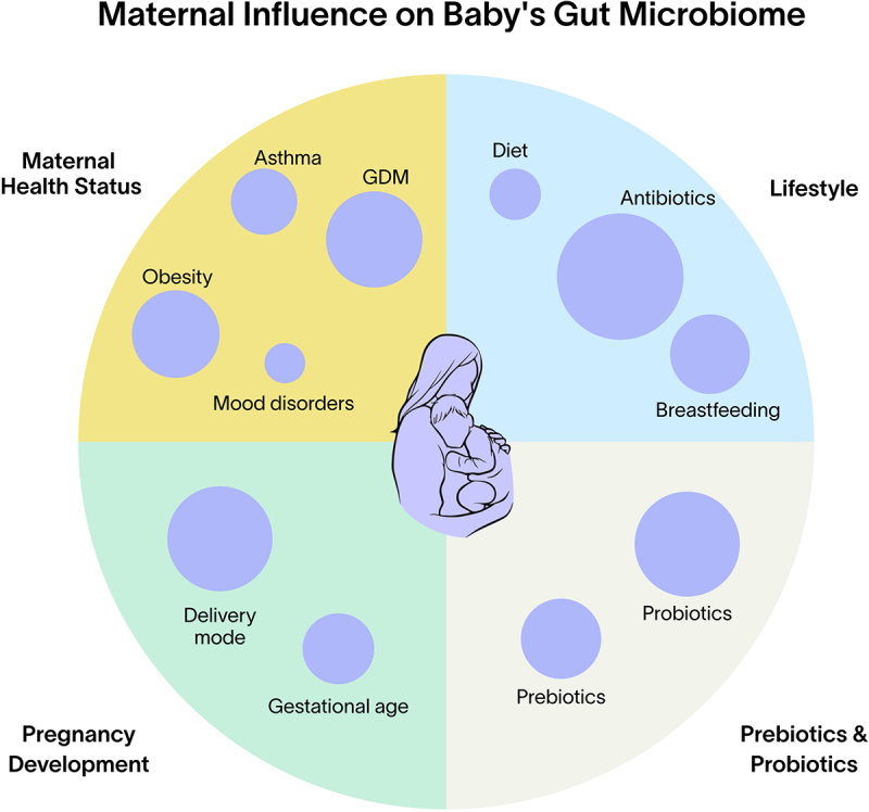 Early life gut microbiome and its impact on childhood health and chronic conditions.