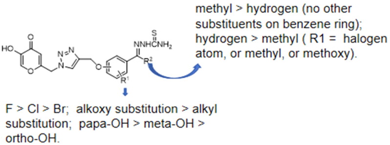 Study on the synthesis and biological activity of kojic acid triazol thiosemicarbazide Schiff base derivatives.