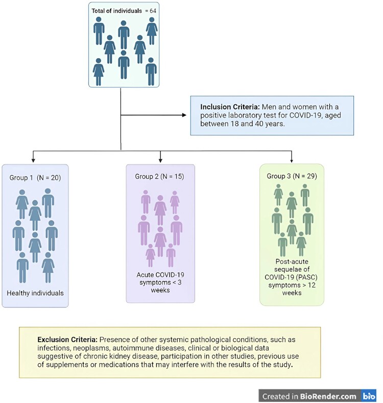 Involvement of oxidative stress in post-acute sequelae of COVID-19: clinical implications.