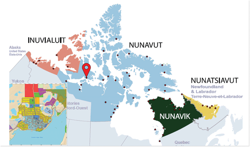 Application of water safety planning to improve drinking water safety in an Arctic community - a case study in Cambridge Bay, Nunavut.