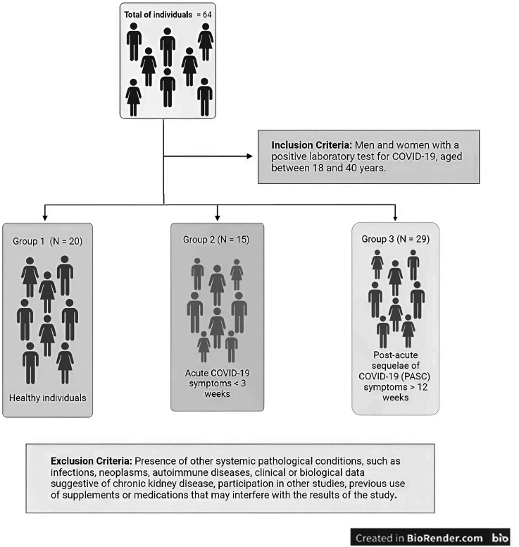 Involvement of oxidative stress in post-acute sequelae of COVID-19: clinical implications.