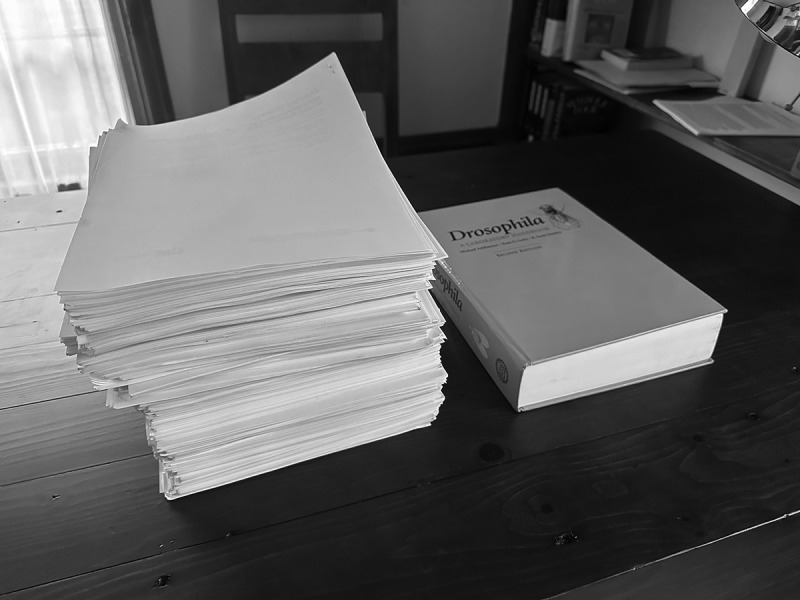 25 years of <i>Drosophila</i> "Sleep genes".