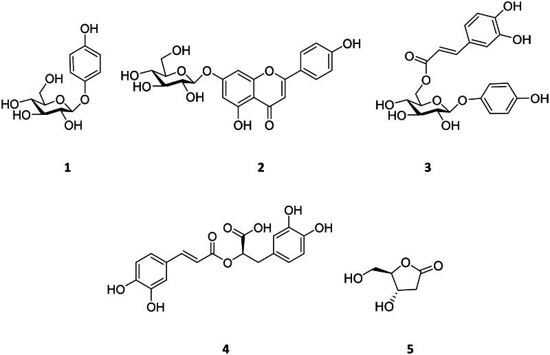 Phenolic compounds from <i>Origanum majorana</i> with biofilm-inhibitory activity against methicillin-resistant <i>Staphylococcus aureus</i> and <i>Escherichia coli</i> strains.