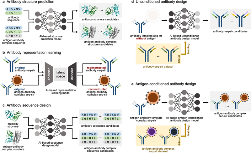Artificial intelligence-driven computational methods for antibody design and optimization.