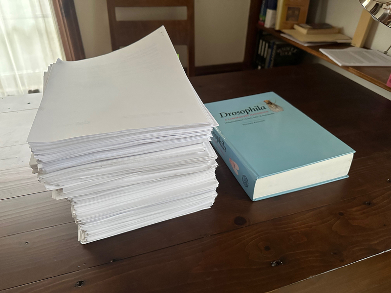 25 years of <i>Drosophila</i> "Sleep genes".