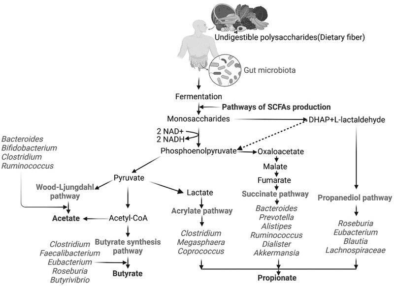 The impact of gut microbial short-chain fatty acids on colorectal cancer development and prevention.