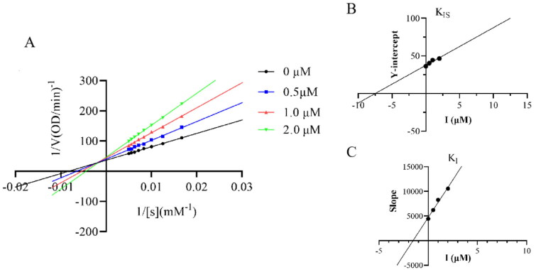 Study on the synthesis and biological activity of kojic acid triazol thiosemicarbazide Schiff base derivatives.