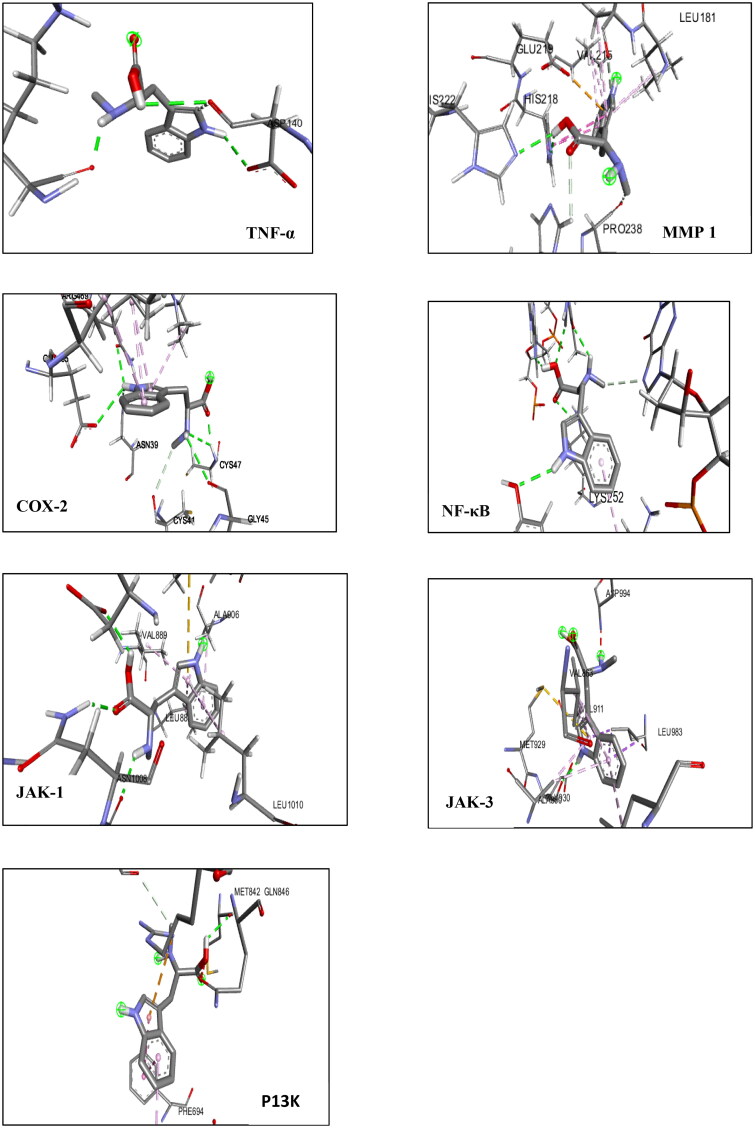 The potential of <i>Abrus precatorius</i> leaves in arthritis alleviation computational approaches through lC-MS analysis.