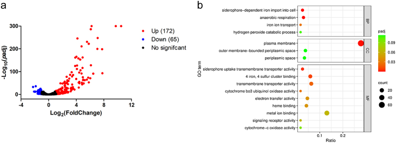 The CueR-regulated transporters CopA and CusFABC coordinate copper detoxification in <i>Vibrio parahaemolyticus</i>.