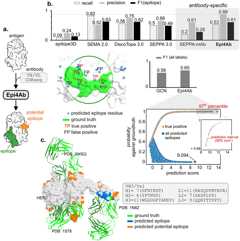 Epi4Ab: a data-driven prediction model of conformational epitopes for specific antibody VH/VL families and CDRs sequences.