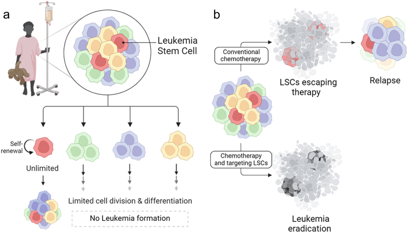 The mitochondria as an emerging target of self-renewal in T-cell acute lymphoblastic leukemia.