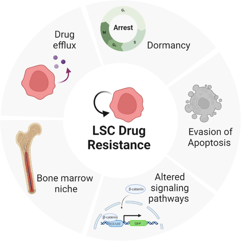 The mitochondria as an emerging target of self-renewal in T-cell acute lymphoblastic leukemia.