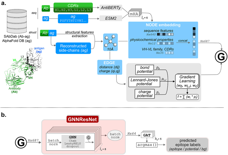 Epi4Ab: a data-driven prediction model of conformational epitopes for specific antibody VH/VL families and CDRs sequences.