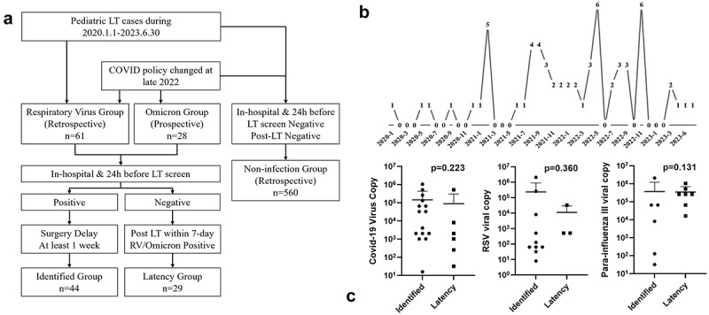 Comparison of Omicron and respiratory virus infections in pediatric liver transplantation: Impact of perioperative identification status.