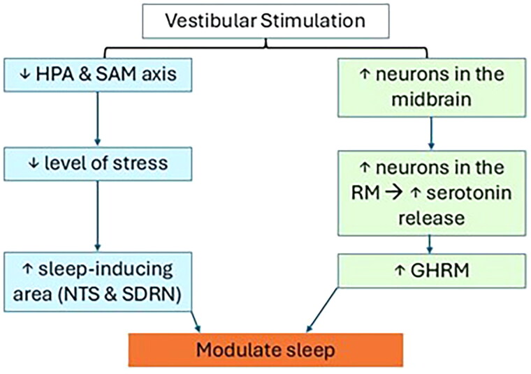 Efficacy of electrical vestibular stimulation (VeNS) on adults with insomnia: A double-blind, randomized, sham-controlled trial.
