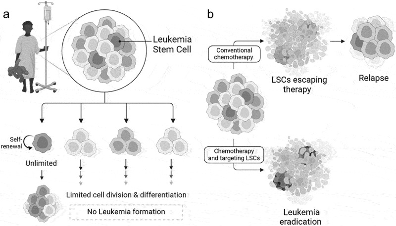 The mitochondria as an emerging target of self-renewal in T-cell acute lymphoblastic leukemia.