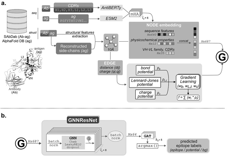 Epi4Ab: a data-driven prediction model of conformational epitopes for specific antibody VH/VL families and CDRs sequences.