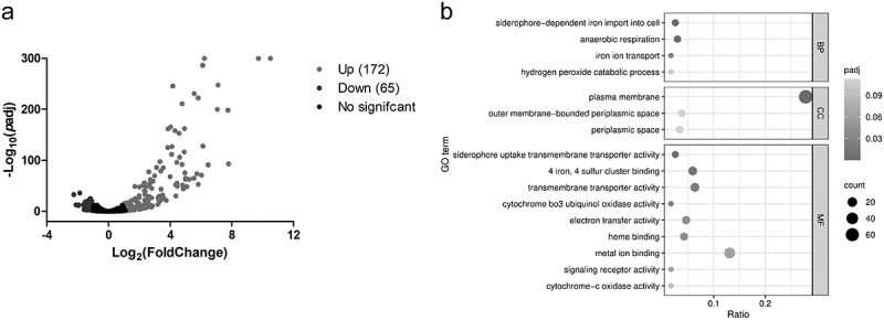 The CueR-regulated transporters CopA and CusFABC coordinate copper detoxification in <i>Vibrio parahaemolyticus</i>.