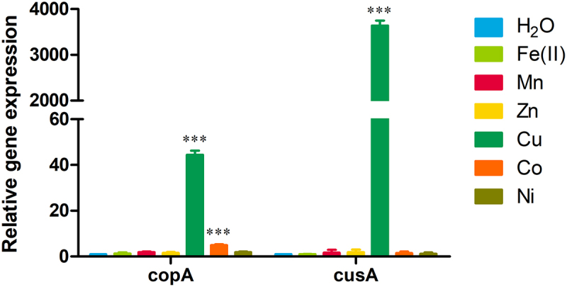 The CueR-regulated transporters CopA and CusFABC coordinate copper detoxification in <i>Vibrio parahaemolyticus</i>.