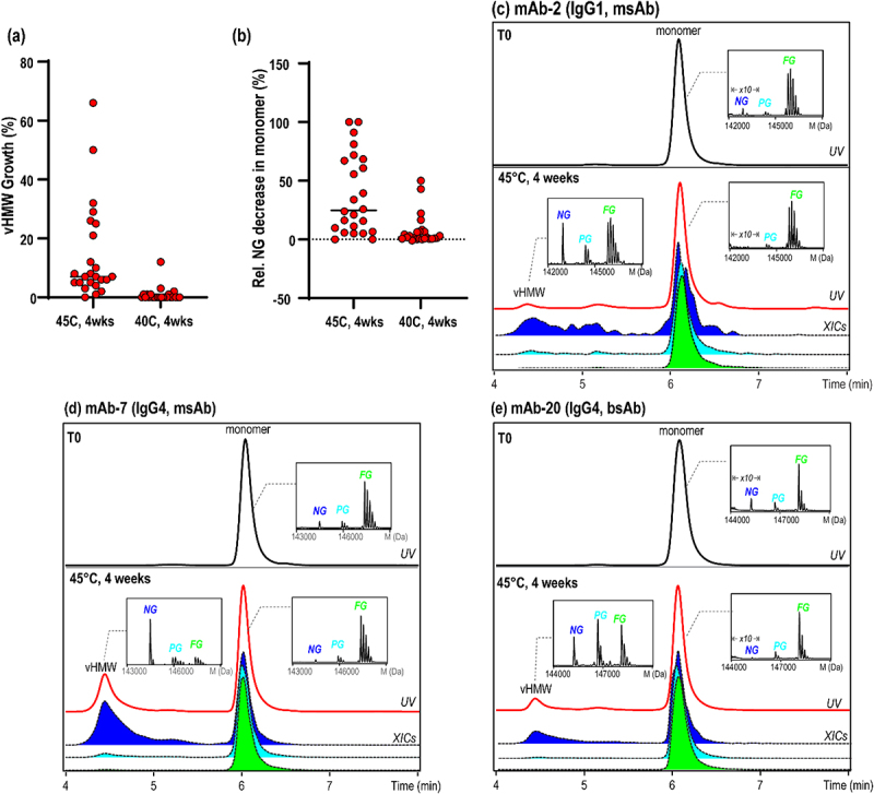 The nonglycosylated variant in therapeutic monoclonal antibodies preferentially forms large aggregates under typical thermal stresses used in forced degradation studies.