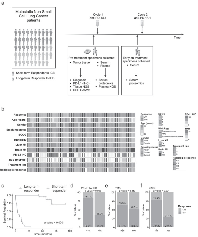 Molecular and immunological features associated with long-term benefits in metastatic NSCLC patients undergoing immune checkpoint blockade.
