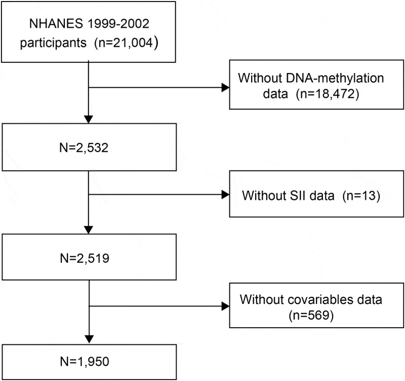 Association of systemic immune-inflammation index (SII) with epigenetic age acceleration in adults: insights from NHANES.