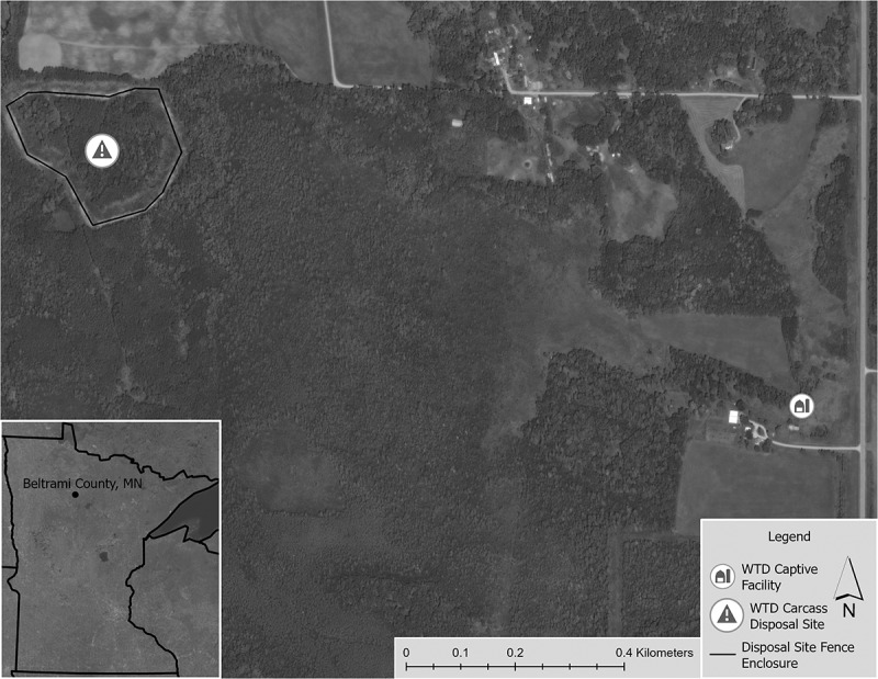 Detection of chronic wasting disease prions in soil at an illegal white-tailed deer carcass disposal site.