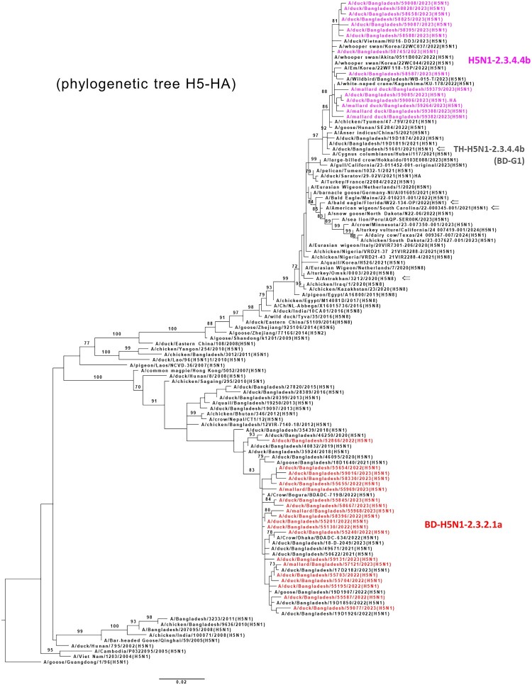 Reassortment of newly emergent clade 2.3.4.4b A(H5N1) highly pathogenic avian influenza A viruses in Bangladesh.