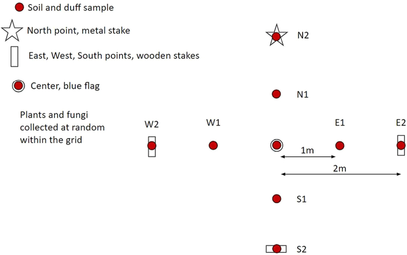 Detection of chronic wasting disease prions in soil at an illegal white-tailed deer carcass disposal site.