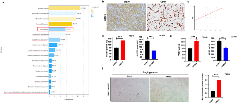 RSK4 promotes the metastasis of clear cell renal cell carcinoma by activating RUNX1-mediated angiogenesis.