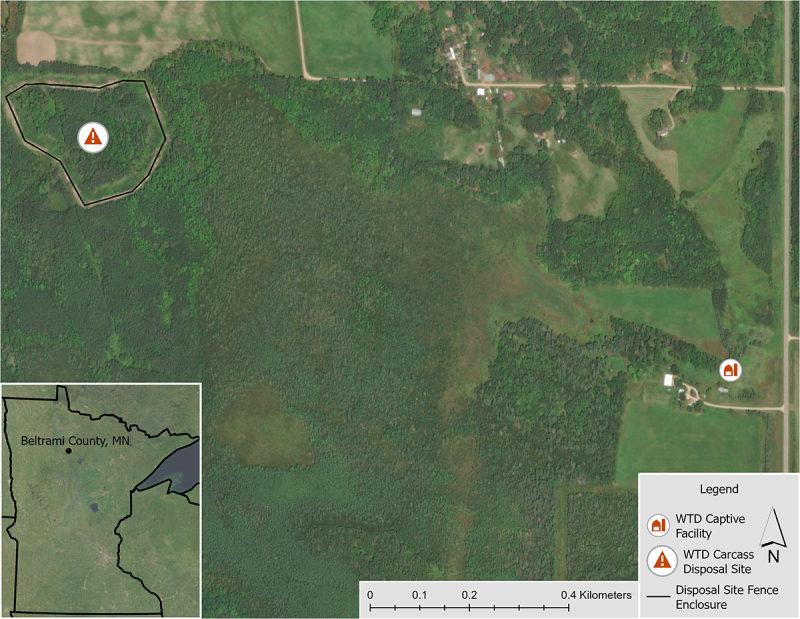 Detection of chronic wasting disease prions in soil at an illegal white-tailed deer carcass disposal site.