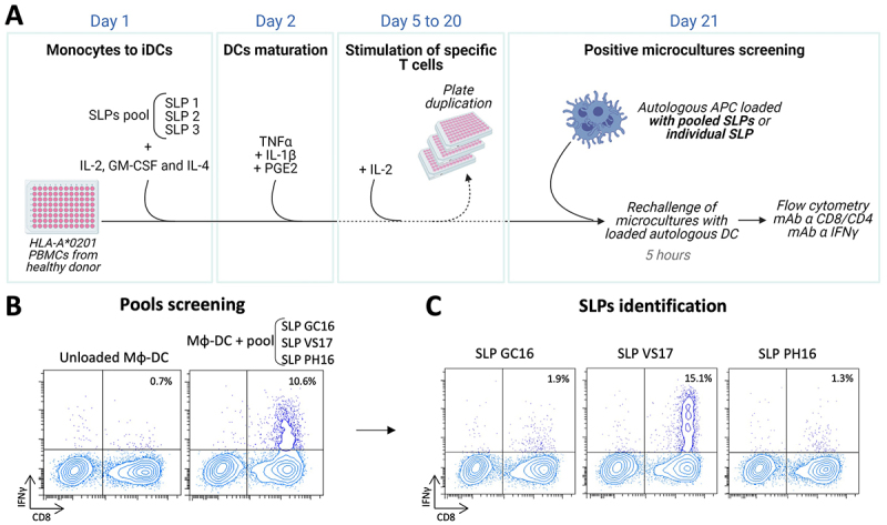Systematic identification of lincRNA-derived immunogenic peptides in melanoma.