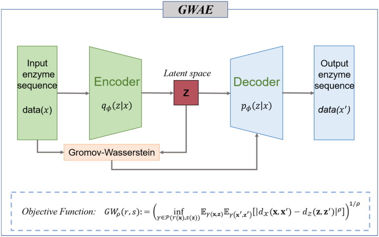 Enzyme sequence optimisation via Gromov-Wasserstein Autoencoders integrating MSA techniques.