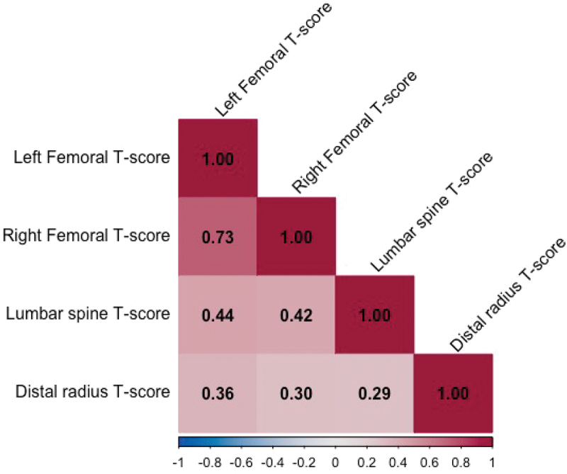 One-third Radius bone mineral density measurement utility in the diagnosis of osteoporosis: a comparative analysis with femoral and lumbar spine bone mineral density.