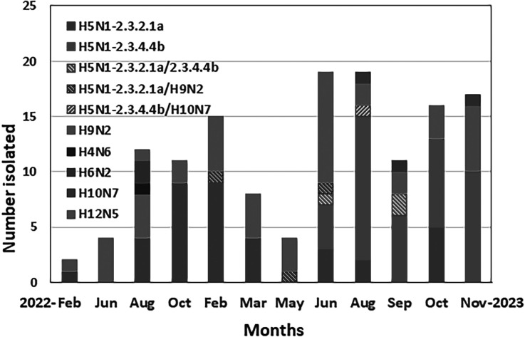 Reassortment of newly emergent clade 2.3.4.4b A(H5N1) highly pathogenic avian influenza A viruses in Bangladesh.