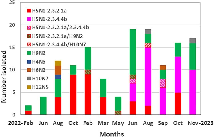 Reassortment of newly emergent clade 2.3.4.4b A(H5N1) highly pathogenic avian influenza A viruses in Bangladesh.