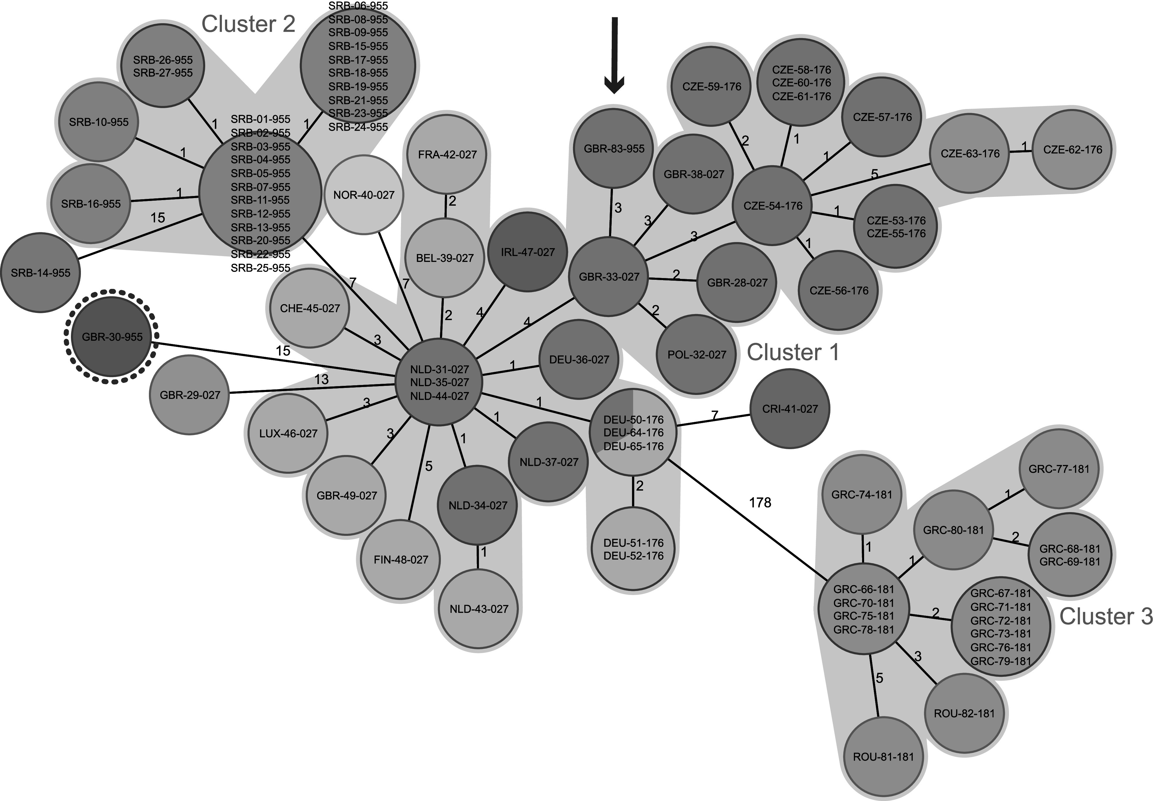 Emerging <i>Clostridioides difficile</i> strains belonging to PCR ribotype 955 in Serbia are distinct from metronidazole-resistant RT955 outbreak isolates from the UK.