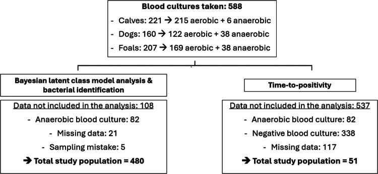 Accuracy of two Sepsityper MALDI-TOF MS methods for bacterial identification in bloodstream infections in dogs, foals, and calves using Bayesian latent class model.