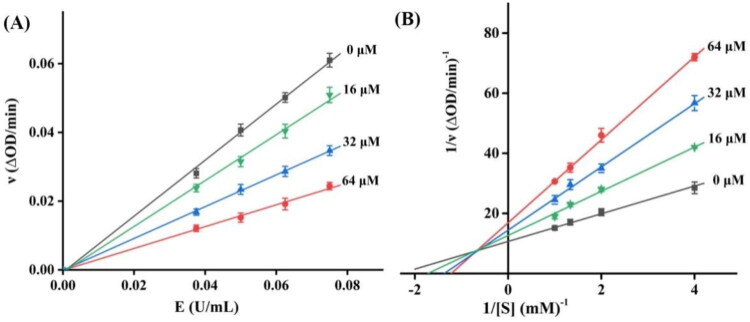 Inhibition mechanism and behaviour of wedelolactone against α-glucosidase.
