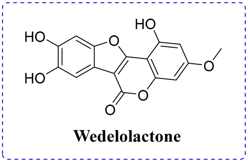 Inhibition mechanism and behaviour of wedelolactone against α-glucosidase.