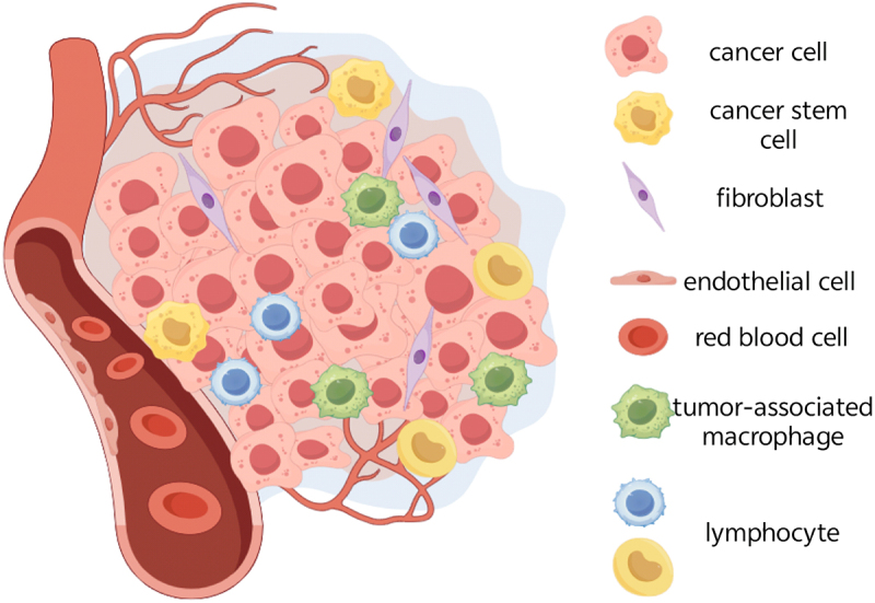 Adipose-Derived Exosomes: mediators of crosstalk between Adipose tissue and cancer.
