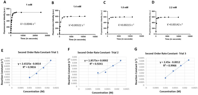 Biotin-mediated drug delivery: does the biotin transporter mediate uptake of biotin conjugates?