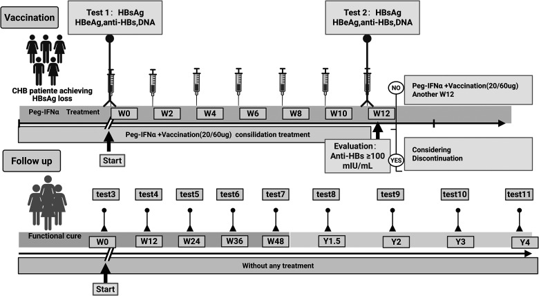 Leveraging hepatitis B vaccination to consolidate functional cure: reigniting the humoral axis in chronic HBV infection.