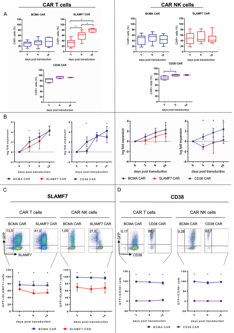 Divergent on-target off-tumor effects by CAR T and CAR NK cells suggest different efficacy and safety of cell therapies.