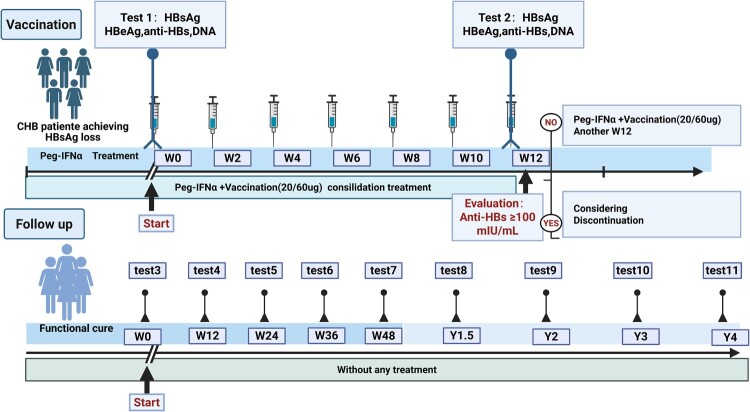 Leveraging hepatitis B vaccination to consolidate functional cure: reigniting the humoral axis in chronic HBV infection.