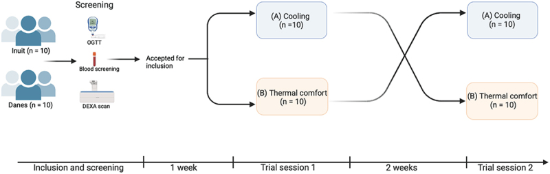 Cross-over comparative study of cold-induced brown adipose tissue activity in Greenlandic Inuit and Danes: rationale, design, and methodology.