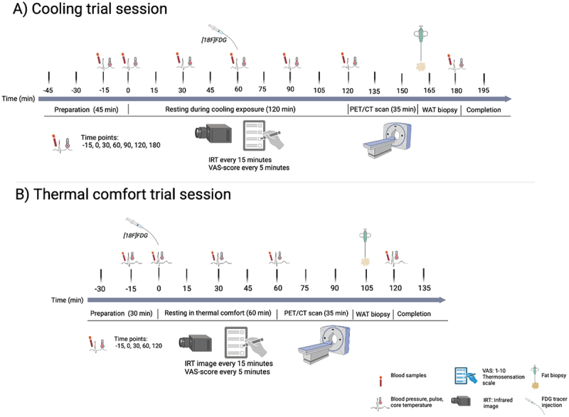 Cross-over comparative study of cold-induced brown adipose tissue activity in Greenlandic Inuit and Danes: rationale, design, and methodology.