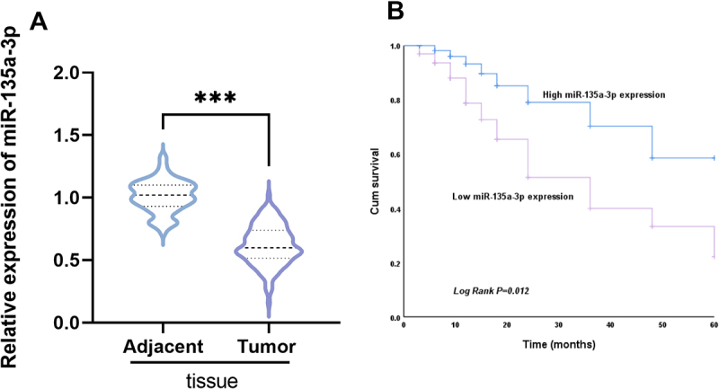 MiR-135a-3p inhibits the progression of prostate cancer by targeting TLR4.