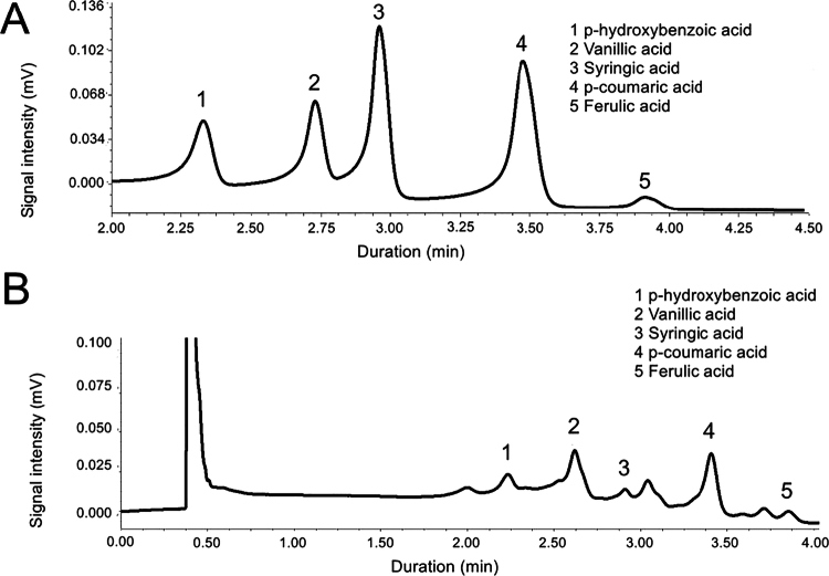 Phenolic acid reduction in <i>Fritillaria taipaiensis</i> rhizosphere via organic fertilization.
